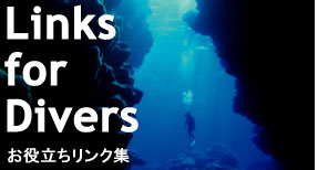 LIink for Divers