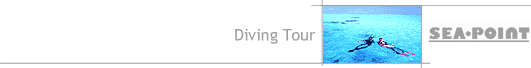 Diving Tour