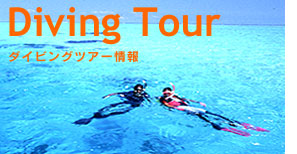 Diving Tour